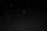 Dcim6763/DSC_0125