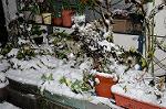 Dcim6763/DSC_0153