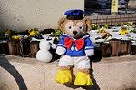 Dcim6764/DSC_0306