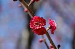 Dcim6765/DSC_7080