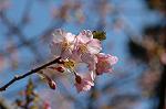 Dcim6765/DSC_7154