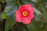 Dcim6765/DSC_7165