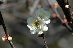 Dcim6765/DSC_7222