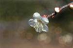 Dcim6765/DSC_7224