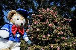 Dcim6766/DSC_0371