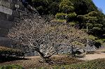 Dcim6766/DSC_0387