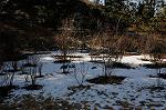 Dcim6766/DSC_0406