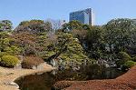 Dcim6766/DSC_0458
