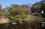 Dcim6766/DSC_0460