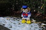 Dcim6766/DSC_0483