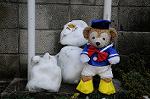 Dcim6766/DSC_0487