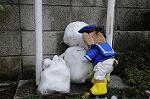 Dcim6766/DSC_0490