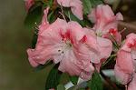 Dcim6767/DSC_7265