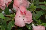 Dcim6767/DSC_7267