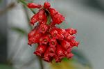 Dcim6767/DSC_7270