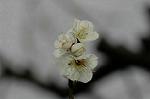 Dcim6769/DSC_7308