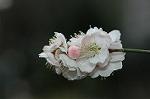 Dcim6769/DSC_7318