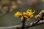 Dcim6769/DSC_7330