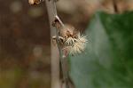 Dcim6769/DSC_7354
