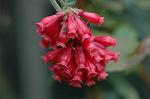 Dcim6769/DSC_7367