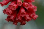 Dcim6769/DSC_7371