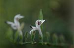 Dcim6769/DSC_7376