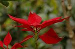 Dcim6769/DSC_7384