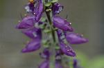 Dcim6769/DSC_7390