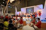 Dcim6772/DSC_0833