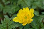Dcim6774/DSC_7476