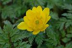 Dcim6774/DSC_7480