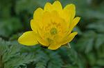 Dcim6774/DSC_7481