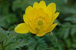 Dcim6774/DSC_7483