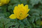 Dcim6774/DSC_7486