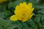 Dcim6774/DSC_7487