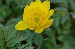 Dcim6774/DSC_7495