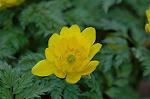 Dcim6774/DSC_7497