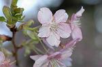 Dcim6775/DSC_7548