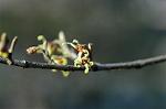 Dcim6775/DSC_7564