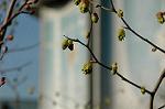 Dcim6775/DSC_7570