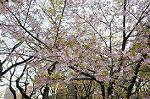 Dcim6776/DSC_1127