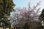 Dcim6776/DSC_1128