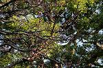 Dcim6776/DSC_1138