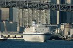 Dcim6777/DSC_7619