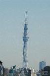 Dcim6777/DSC_7641