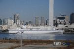 Dcim6782/DSC_1311