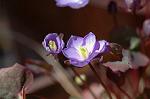 Dcim6789/DSC_8329