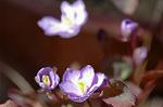 Dcim6789/DSC_8331
