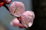 Dcim6789/DSC_8357