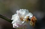 Dcim6789/DSC_8360